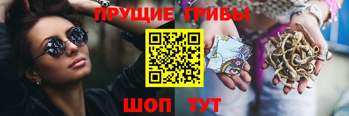 Галлюциногенные грибы Psilocybine cubensis  Вход с VPN  Бердск 